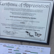 Officially helping the Monarch butterflies!